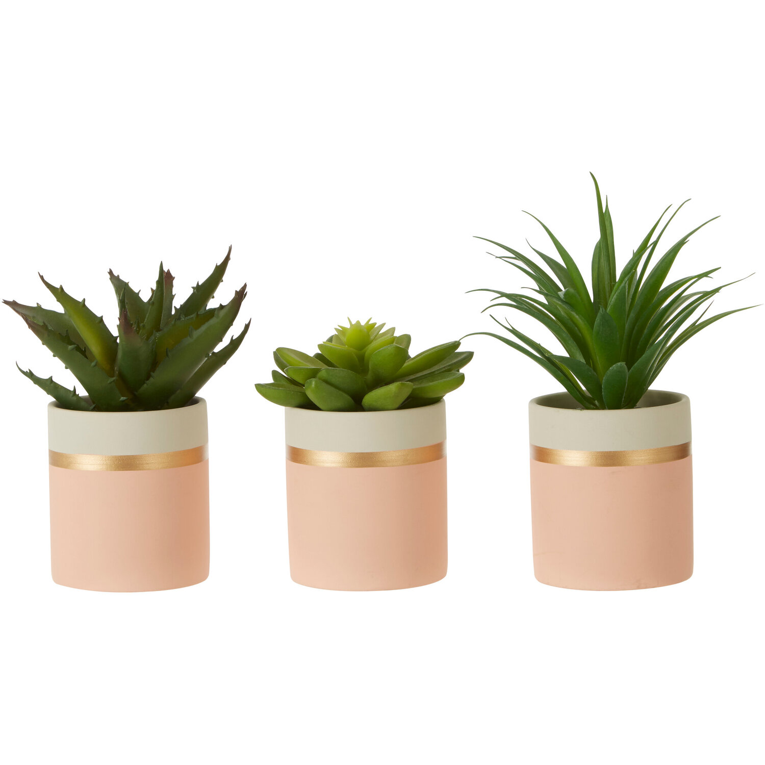Fiori Set Of 3 Pink Pot Succulents - Pink