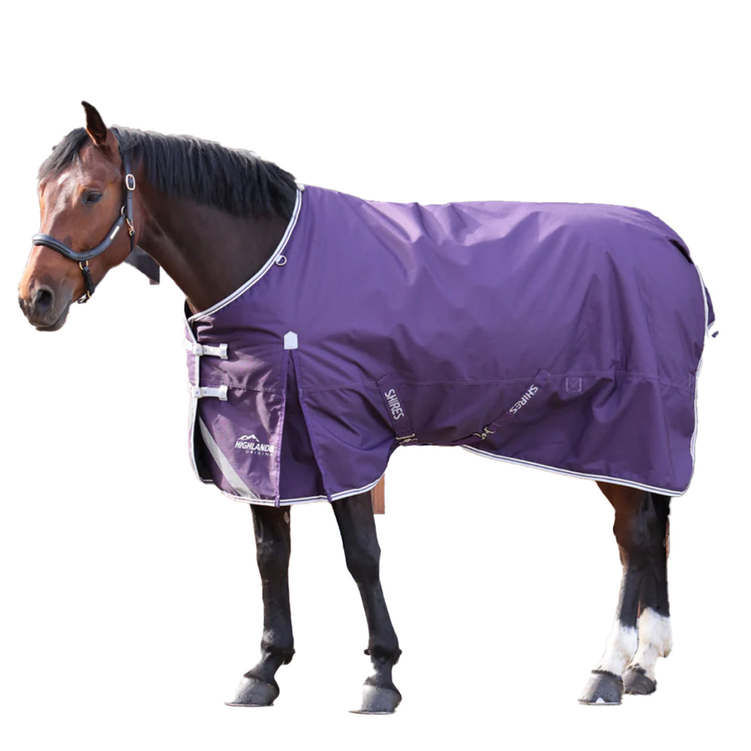 Highlander Original 100 Standard-Neck 100G Horse Turnout Rug - Plum / Polyester