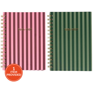 2027 Stripe Diary