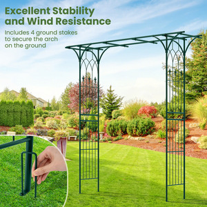 Metal Garden Arch for Climbing Plants