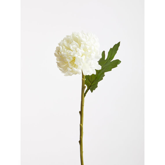 Fiori White Chrysanthemum Flower Stem
