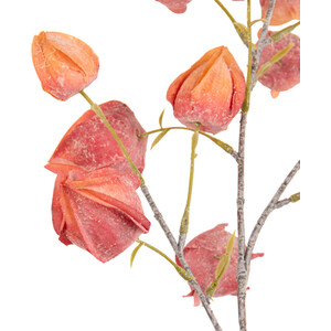  shot 16841714
