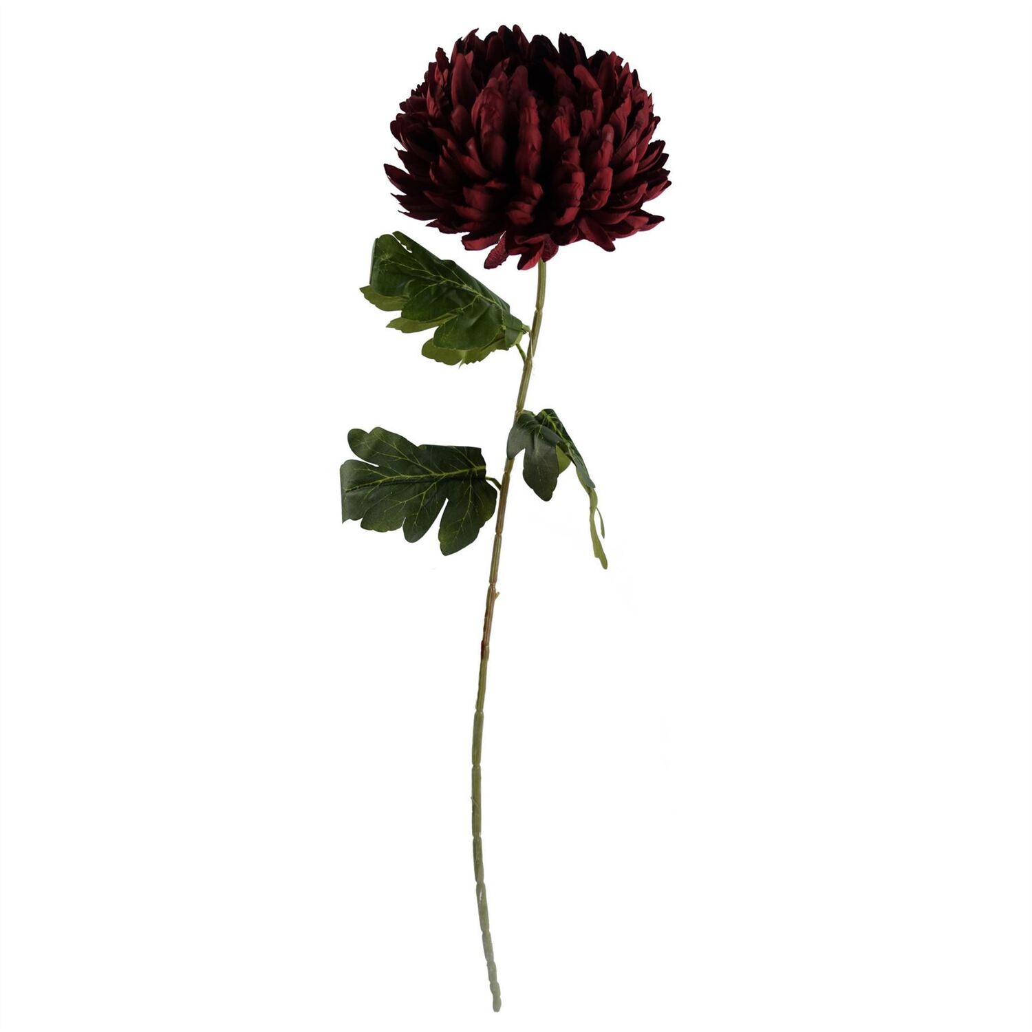 B&Q -  Pack Of 6 X 75Cm Extra Large Reflex ChrysanthemumRed - Image 3