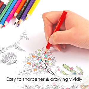 Pack of 12 Half Colouring Pencils