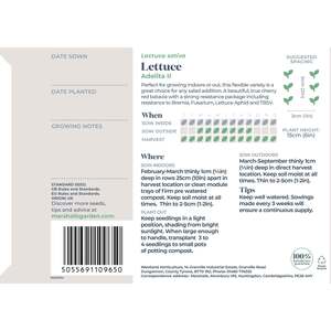 Lettuce Seeds 'Adelita II'