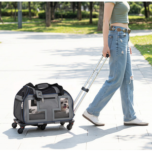 Foldable Cat and Dog Carrier with Telescopic Handle-Red