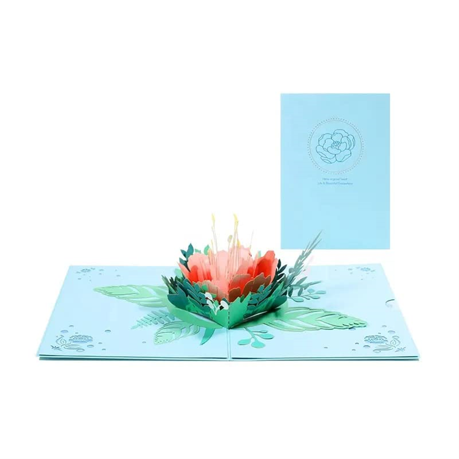 Brightfeel Blushing Peony Bloom 3D Pop Up Greeting Card - White