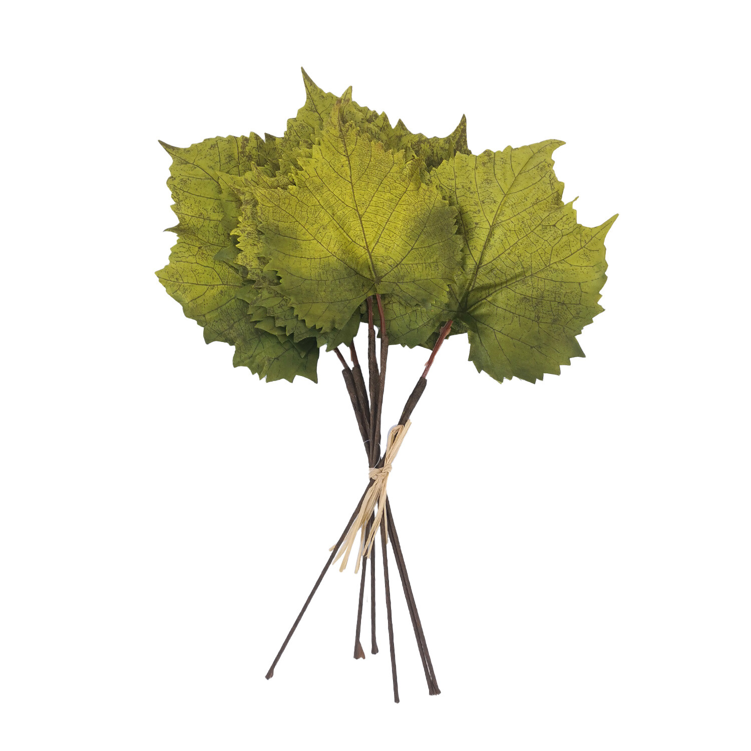 Wired Maple Leaves - Green