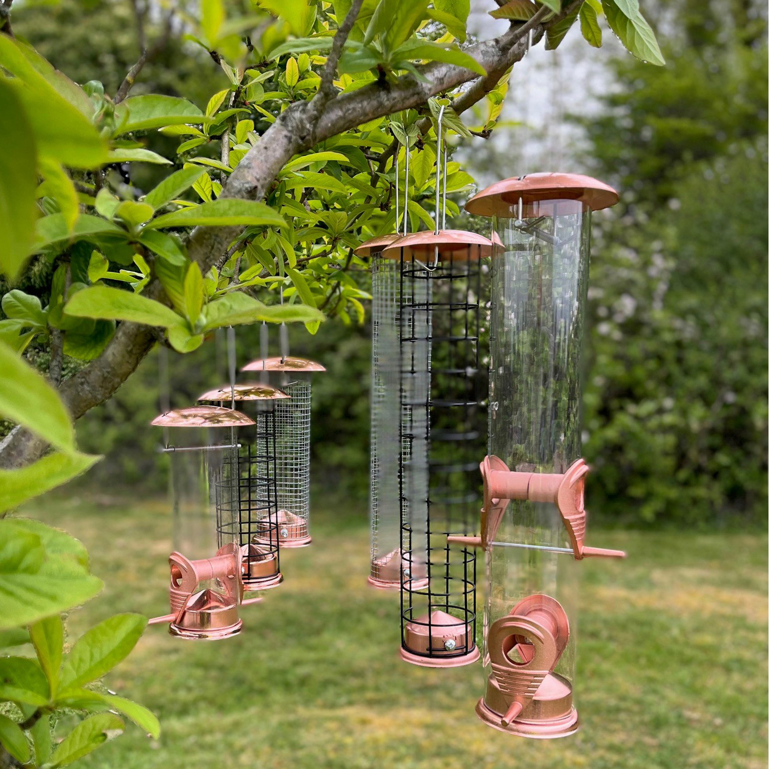 Image of Copper Style Hanging Bird Feeders Seed,&hellip;