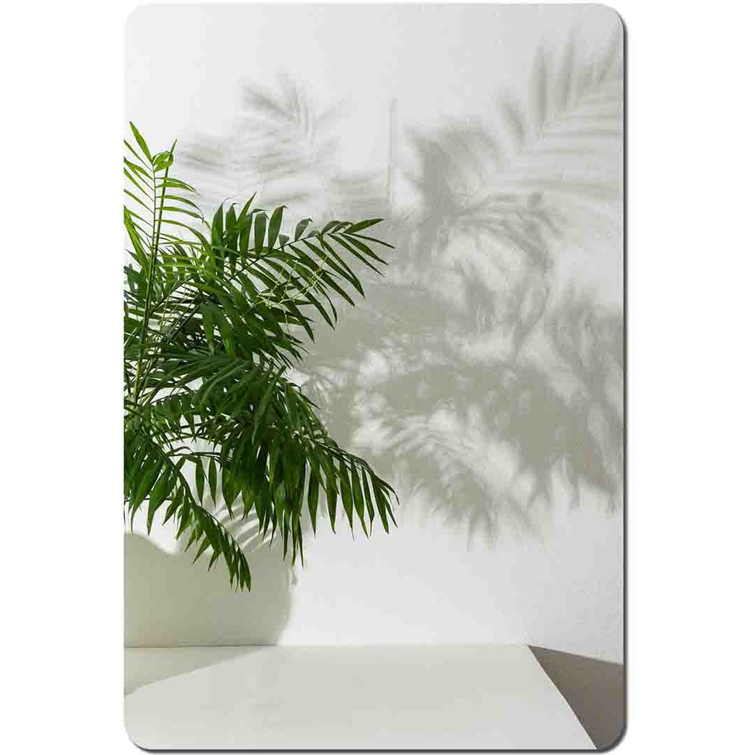Image of Chamaedorea Placemat Set - Green