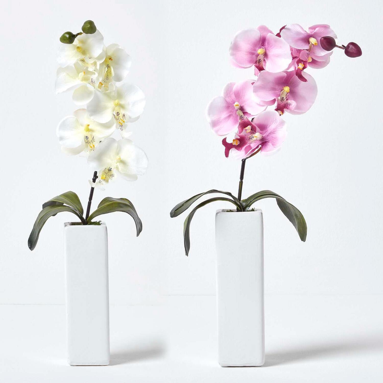 Homescapes Set of 2 Artificial Pink Cream Orchids in Thin Cream Vases, 43 cm - Pink and Cream