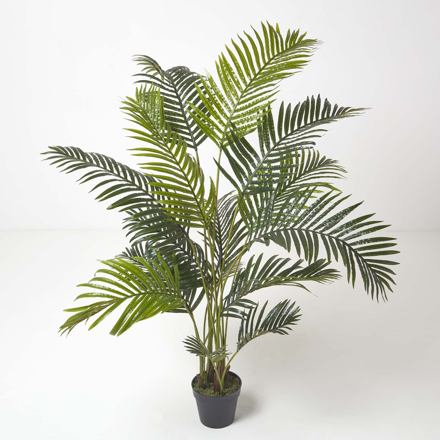 Homescapes Areca Palm Tree in Pot, 160 cm Tall - Green