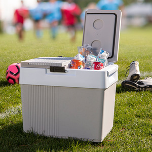 Koolatron 12V Electric Cool Box, 31L