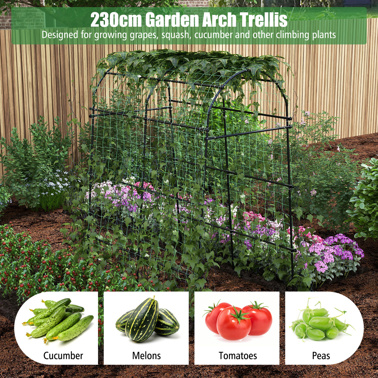 Garden Arch Plant Tunnel Trellis - Black