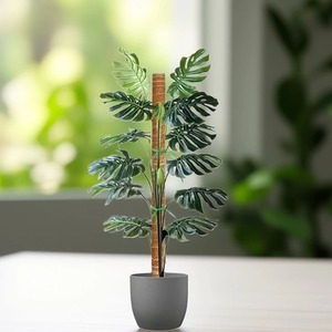Coco Fibre Moss Pole Climbing Plant Support Cane Non Extendable 60cm