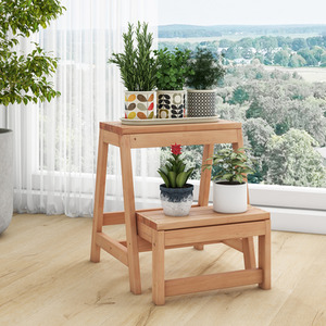 2-Tier Folding Step Stool