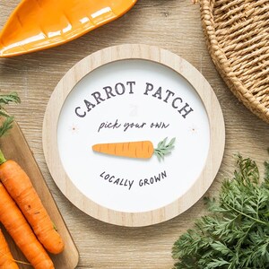 Carrot Patch Bunny 3D Wall Plaque Decor