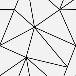 Zara Mono Geometric Wallpaper in White and Black