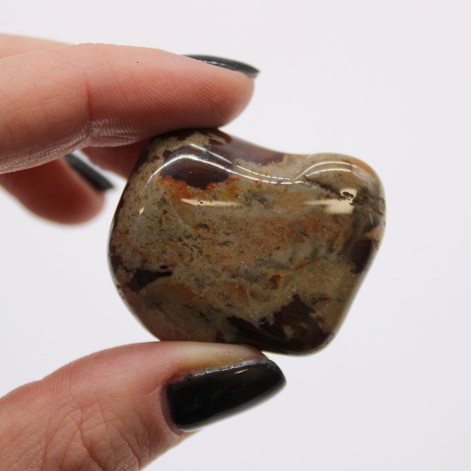 Large African Tumble Stones Jasper Nguni - Brown