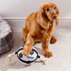Retreev Actionball Football Dog Toy