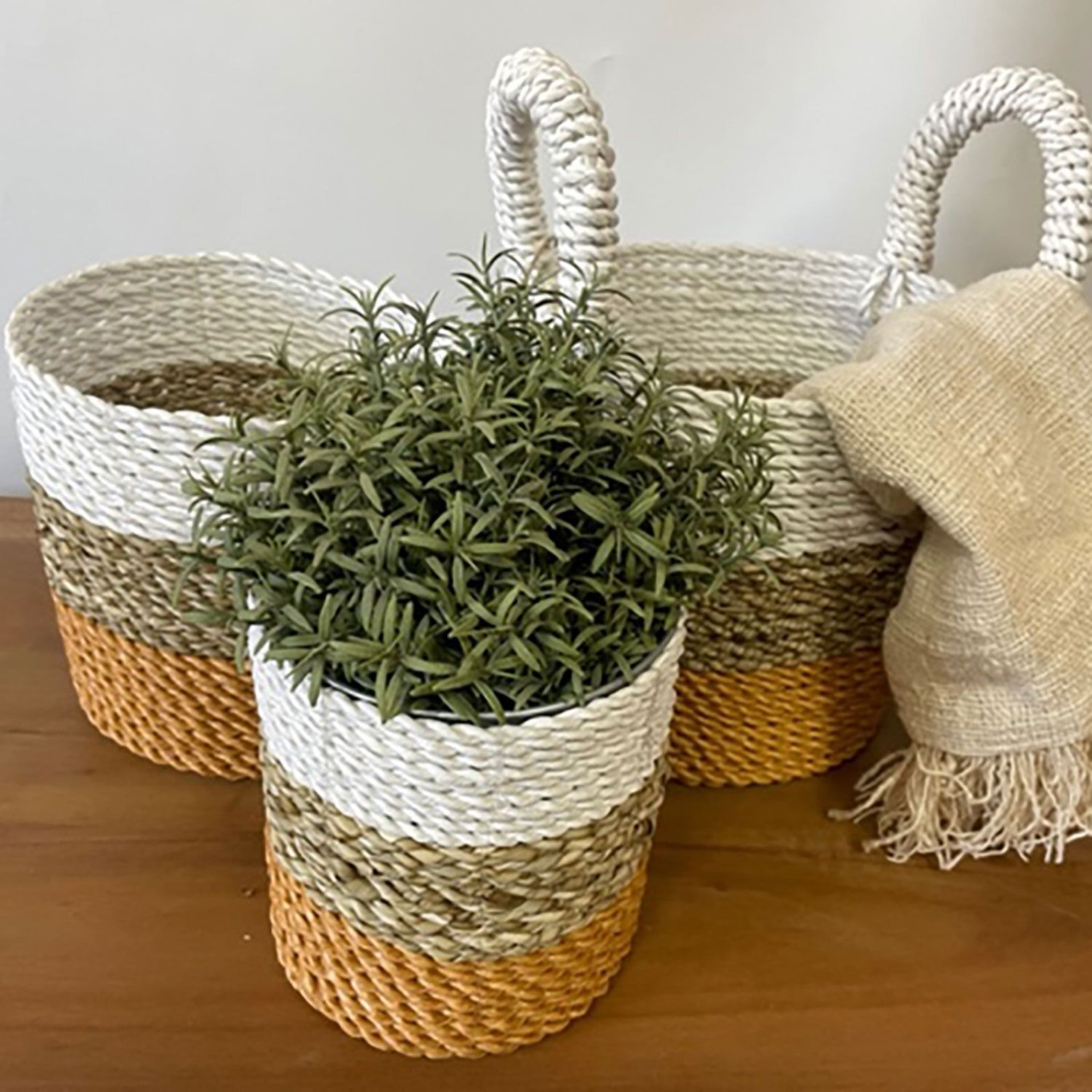 Seagrass Basket Set - Multi-Color Handwoven Storage Decor