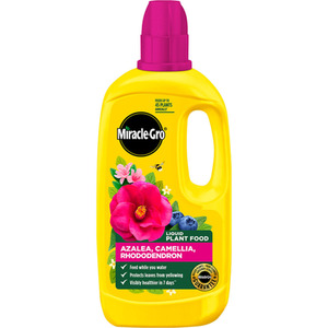 Miracle Gro Ericaceous Concentrated Plant Food