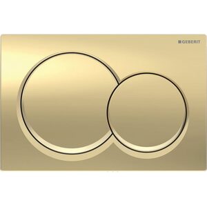 Wall Hung Rimless Toilet with Geberit Cistern and Brass Alpha01 Flush Plate