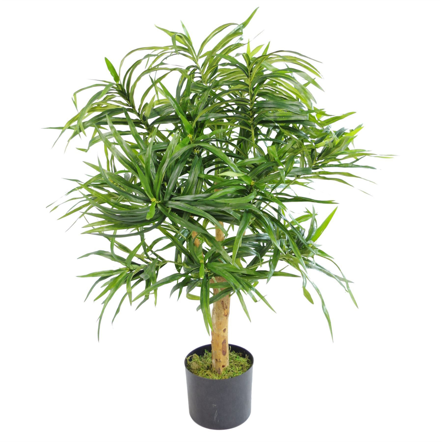 Artificial Dracaena Plant Natural Wood Trunk 100cm - Green