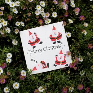 Wildflower Seed Card
