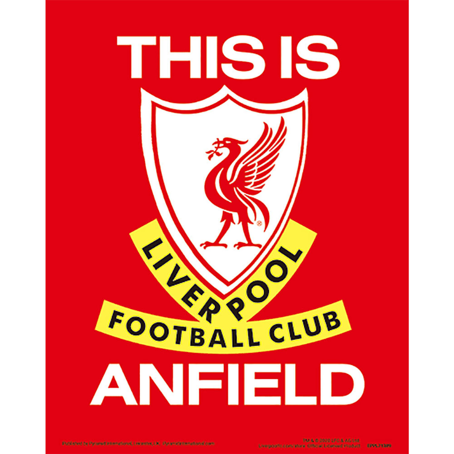 Liverpool FC Anfield Stadium 3D Print - Red/White