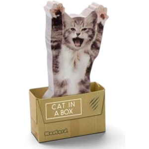 Cat In A Box Sticky Notes
