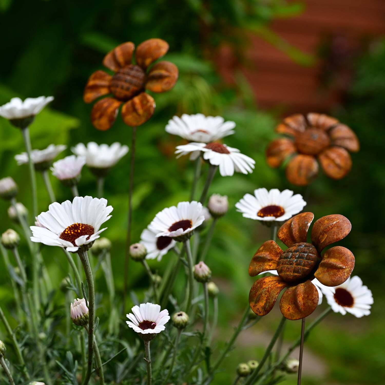 Savageworksuk Rusty Metal Daisy - Rusty