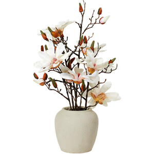 Magnolia Arrangement