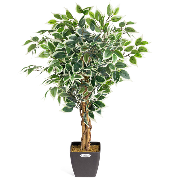 Artificial Ficus Tree in Pot