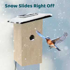 Birdfy Ebony Lite Smart Bird House