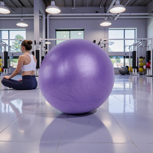Pilates Ball Purple