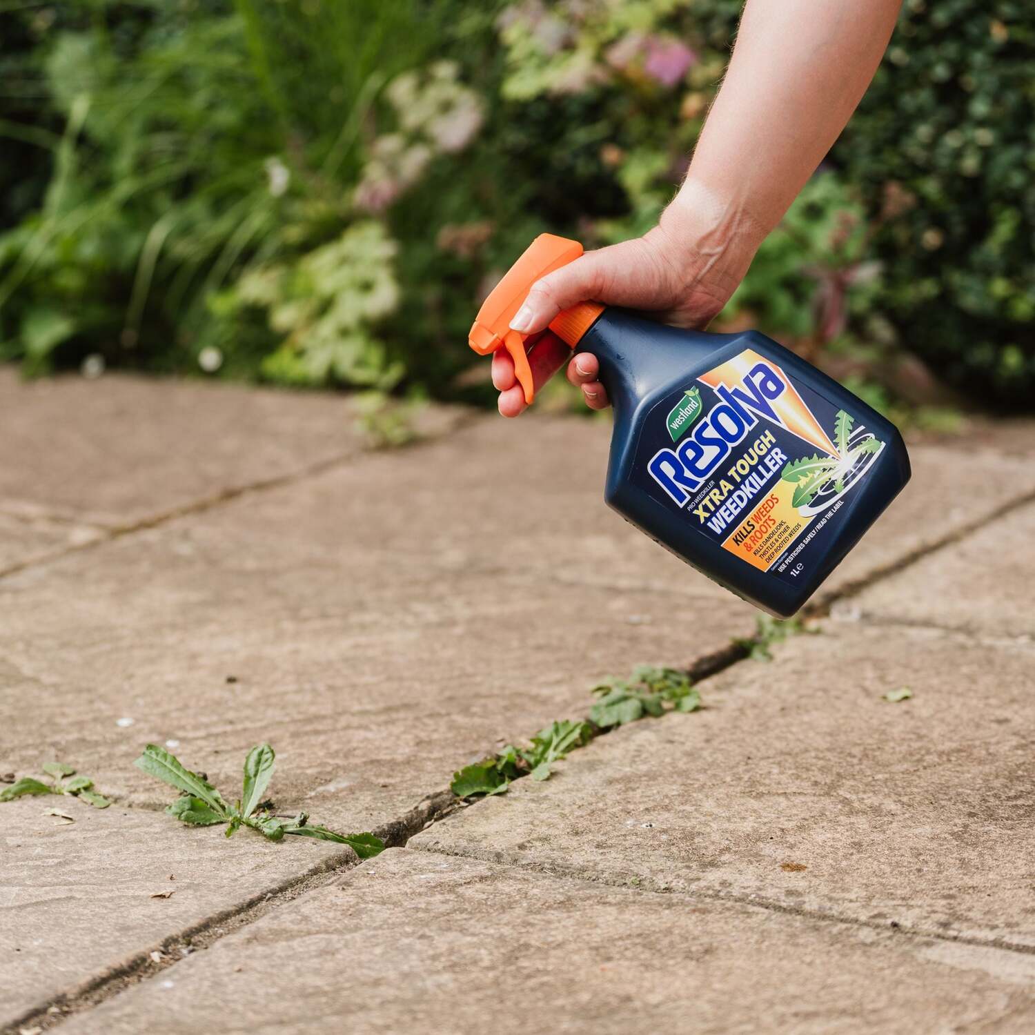Westland Resolva Pro Weedkiller Xtra Tough Ready To Use 1L Kill Grasses Weeds - Image 5