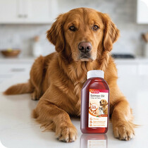 Dog Supplements