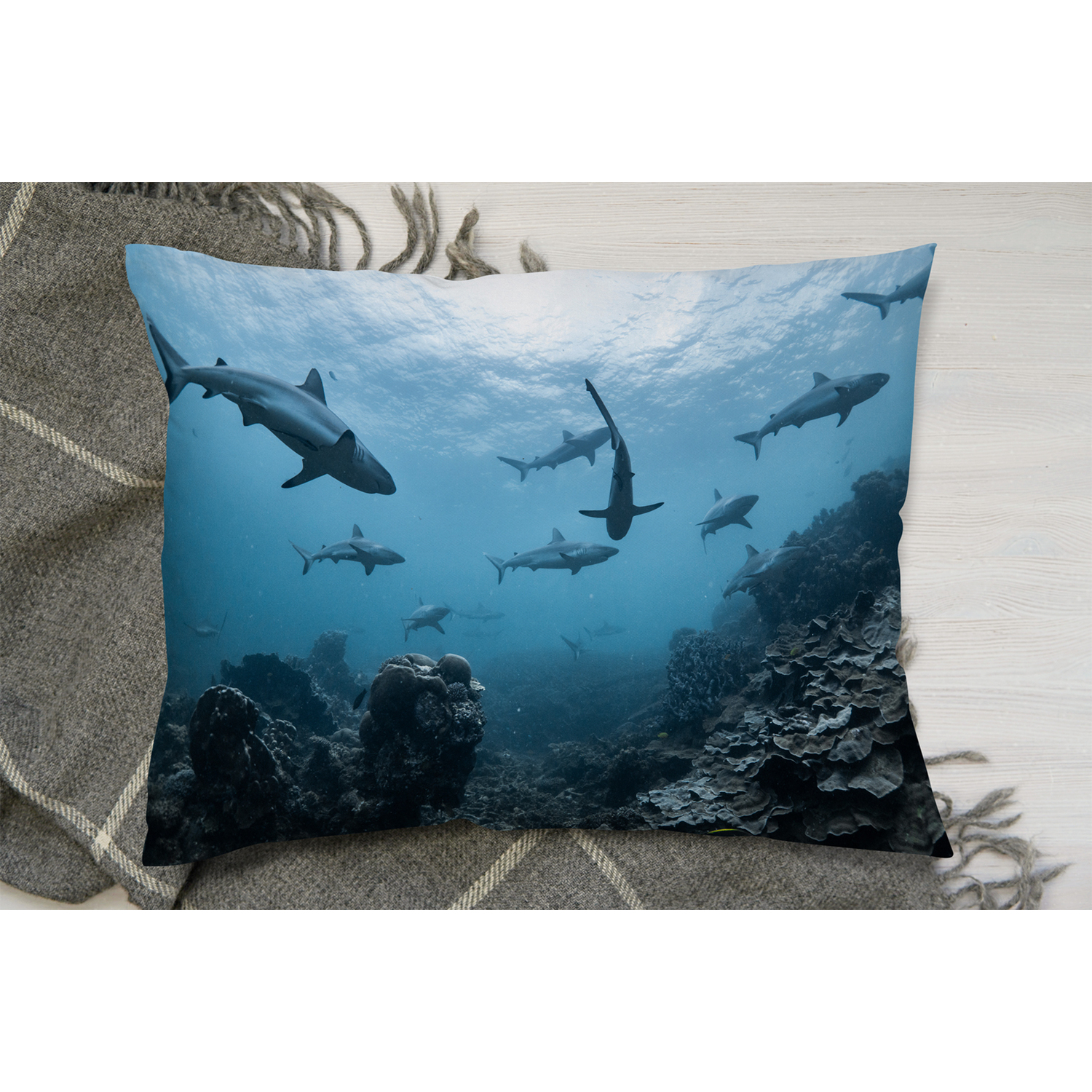 Schooling Grey Reef Sharks, Ningaloo Reef, Western Australia Cushion - Blue