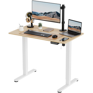 Small Electric Standing Desk with Adjustable Height