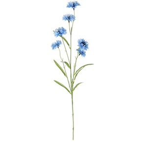  shot 5523487