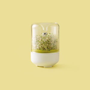 Chef'n Countertop Sprouter Growing Kit
