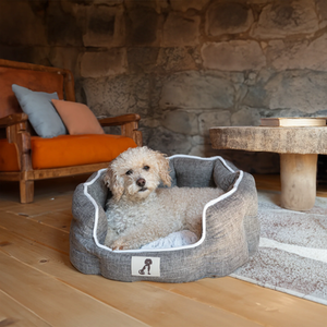 AllPetSolutions Alfie Soft Dog Bed - Brown