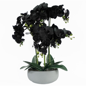 Orchid Artificial Black - White Ceramic Planter