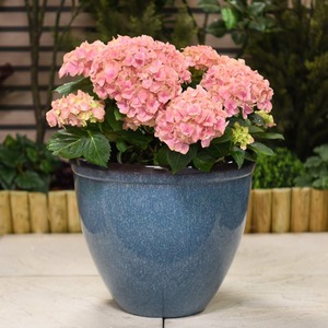 Blue Glazed Effect Planter