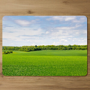 Summer landscape in the distance Designer Placemat Set