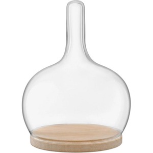 Cloche Dome with Oak Base
