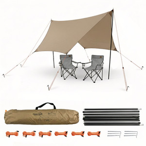Camping Canopy Tarp Set with Poles