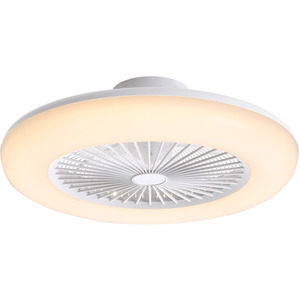 Round Acrylic LED Ceiling Light Fan with Remote Control