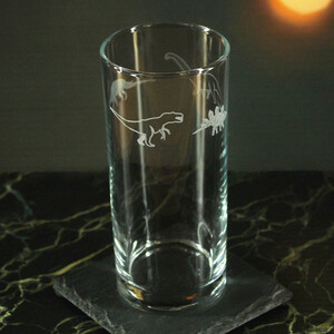 Engraved Set of 4 Hiball 12oz Dinosaur Pattern Design